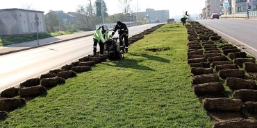 agaclar-yeni-yerlerinde-hayat-bulacak.jpg