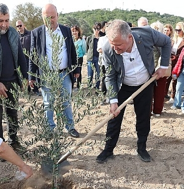 ataturkun-vasiyeti-urlada-hayata-gecti-zeytin-koleksiyon-bahcesinde-ilk-fidan-dikimi.jpg