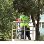 bakirkoy-belediyesi-ekipleri-kurtardi.jpg