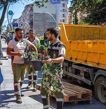 Balkonlar çiçek açıyor, komşuluk güzelleşiyor