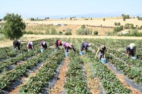 baskan-altay-tarimin-her-alaninda-ureticimizin-yaninda-olmaya-devam-edecegiz.jpg