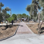 baskan-hatice-gencayin-secim-vaatleri-arasinda-yer-alan-zeytin-park-didimin-yeni-yasam-alanlarindan-biri-olmaya-hazirlaniyor.jpg