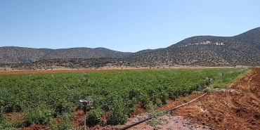begiste-tarim-aritma-suyuyla-yeserdi.jpg