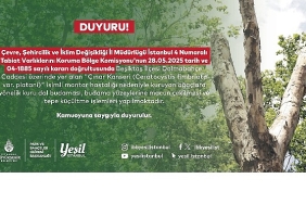 besiktastaki-kanserli-agaclara-budama.jpg