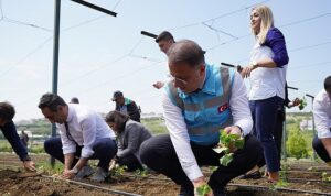 beylikduzu-belediyesi-tarafindan-hayata-gecirilen-ve-kent-tarimina-buyuk-katki-sunan-yasam-bahcesinde-yaz-xIW7H4E6.jpg