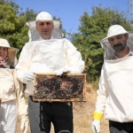 bornovada-bal-gibi-proje.jpg