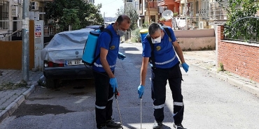 bucada-hasere-ve-zararlilara-karsi-ilaclama-seferberligi.jpg