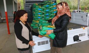 buyuksehir-belediyesinden-silajlik-misir-tohumu-destegi-Cw4CTTD8.jpg