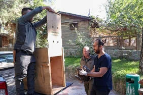 buyuksehir-dogal-yasam-parkinin-tedavi-edilen-yilan-kartali-dogaya-geri-dondu.jpg