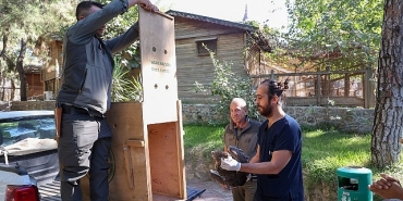 buyuksehir-dogal-yasam-parkinin-tedavi-edilen-yilan-kartali-dogaya-geri-dondu.jpg