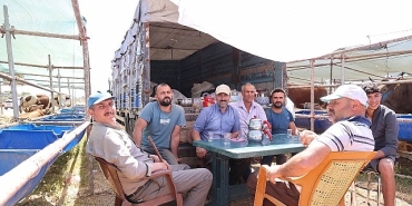 buyuksehir-kurban-satis-noktalarini-ilacliyor.jpg