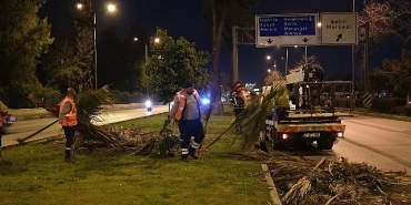 buyuksehirden-gece-budama-calismasi.jpg