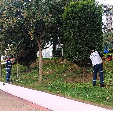 buyuksehirden-yesil-alanlara-ozel-bakim.jpg