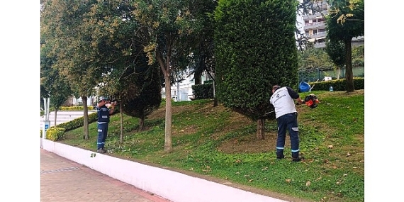buyuksehirden-yesil-alanlara-ozel-bakim.jpg