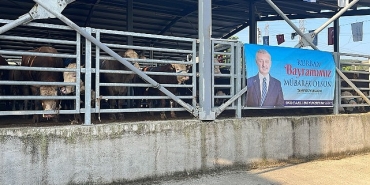 buyuksehirin-modern-mezbahasinda-kurbanlar-kesiliyor.jpg