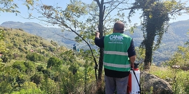 canik-belediyesinden-kokarca-zararlisina-ilacla-mudahale.jpg
