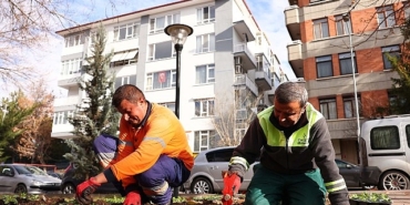 cankaya-parklari-cicek-aciyor.jpg