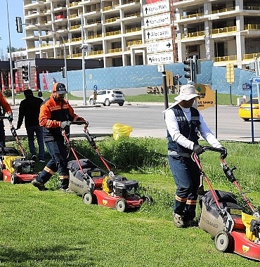 cankaya-parklarinda-cim-bicme-calismasi.jpg