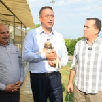 chp-mersin-milletvekilleri-ali-mahir-basarir-ile-chp-mersin-milletvekili-talat-dincer-yenisehir-belediyesinin-hayvan-bakimevini-gezdi.jpg