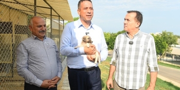 chp-mersin-milletvekilleri-ali-mahir-basarir-ile-chp-mersin-milletvekili-talat-dincer-yenisehir-belediyesinin-hayvan-bakimevini-gezdi.jpg