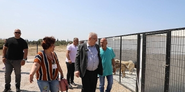 edremit-belediyesi-can-dostlara-sahip-cikiyor.jpg