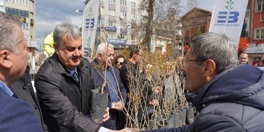edremit-belediyesinden-orman-haftasinda-ucretsiz-fidani-dagitimi.jpg