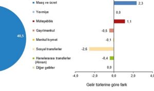 en-yuksek-gelir-grubunun-toplam-gelirden-aldigi-pay-498-oldu-sHGUeJzF.jpg