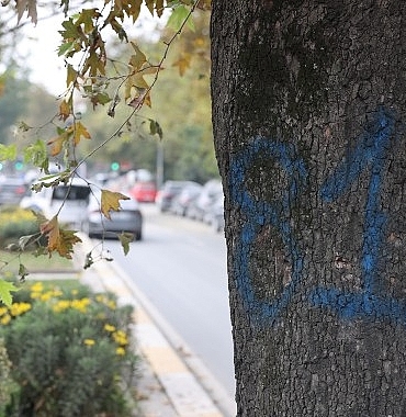 Eyüpsultan-Bayrampaşa Tramvayı’nda Çalışmalar Hızlandı