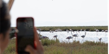 flamingo-yolu-turlari-basladi.jpg