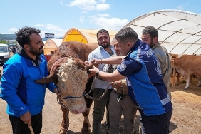 gaziemirde-kurban-satis-yerlerinde-siki-denetim.jpg