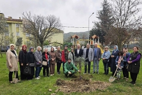 golcukte-orman-haftasinda-zeytin-agaclari-toprakla-bulustu.jpg