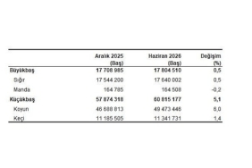 Hayvancılık İstatistikleri, Haziran 2026