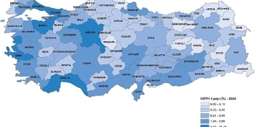 il-bazinda-gayrisafi-yurt-ici-hasila-2024.jpg