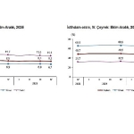 isgucu-istatistikleri-iv-ceyrek-ekim-aralik-2025.jpg