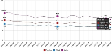 isgucu-istatistikleri-mart-2025.jpg
