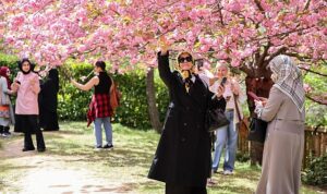 istanbul-baltalimanindaki-japon-bahcesi-ziyaretcilerini-hayran-birakiyor-AppCS59V.jpg