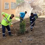 istinat-duvari-alani-yesillendirildi-VdGExkJ7.jpg