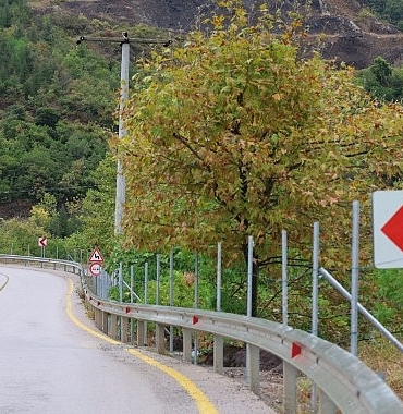 İSU, Baraj Çevrelerine 7 Kilometreye Yakın Koruma Çiti Yapıyor