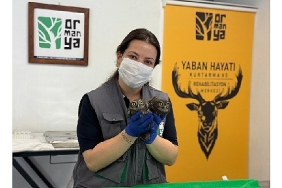 itfaiyeden-baykus-operasyonu.jpg