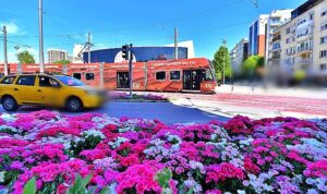 izmirde-yil-boyunca-bahar-havasi-wE8RF26h.jpg
