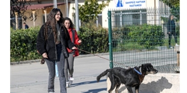 izmirli-hayvansever-corekcinin-emanetlerine-izmir-buyuksehir-belediyesi-sahip-cikti.jpg