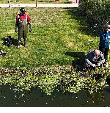izmit-millet-bahcesinde-su-goletine-bilimsel-calisma.jpg
