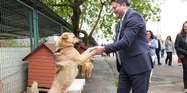 kadikoy-belediyesi-gecici-hayvan-bakimevi-yenilendi.jpg