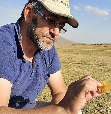 Kafkas Arısı için alarm zilleri çalıyor