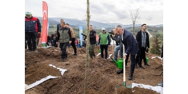 karamurselde-yanan-bolge-3-bin-fidanla-yeniden-yeserecek.jpg