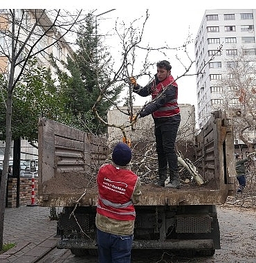 keciorende-budama-calismasiyla-yesil-ortu-korunuyor.jpg