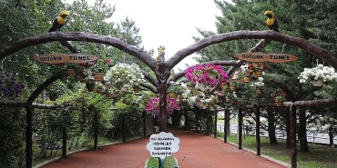 keciorende-modern-serada-uretilen-cicekler-ilceyi-susluyor.jpg