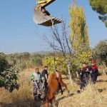 kemalpasa-ulucak-mahallesinde-su-kuyusuna-dusen-yilki-ati-ekiplerin-yogun-calismalari-sonucu-kurtarildi.jpg