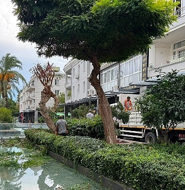 Kemer Liman Caddesi’nde kış öncesi bakım çalışması