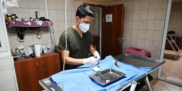 kemerde-227-sokak-hayvani-kisirlastirildi.jpg